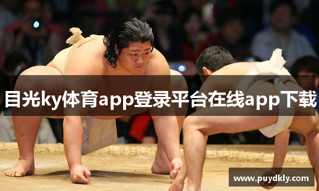 目光ky体育app登录平台在线app下载